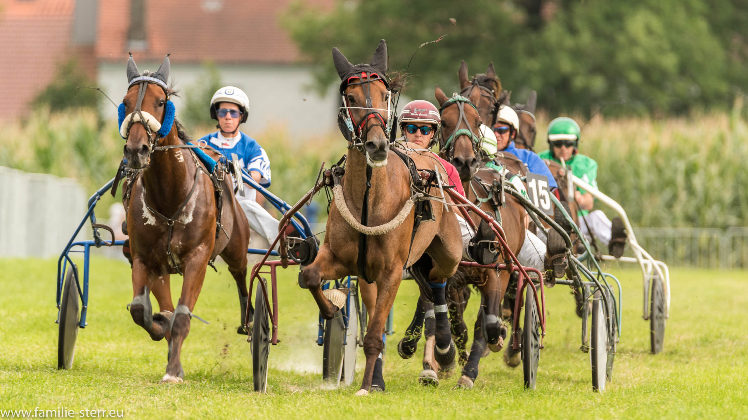 Trabrennen in Erding 2017